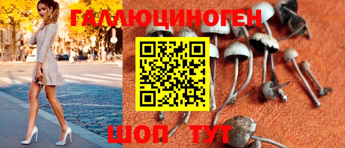 Псилоцибиновые грибы мухоморы Узловая
