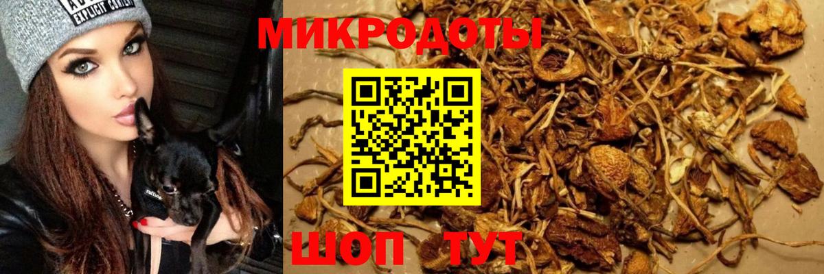 Узловая  Галлюциногенные грибы Cubensis  Вход с VPN  Галлюциногенные грибы ЛСД 